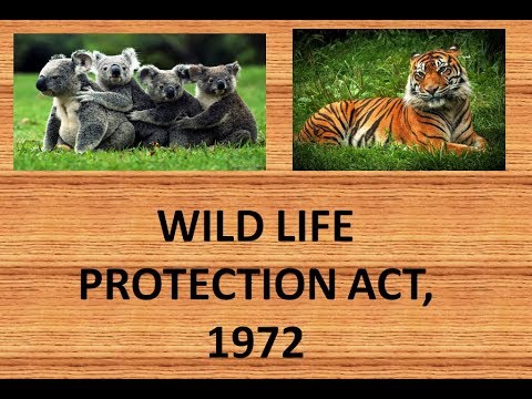 The Wildlife Protection Act, 1972, and its impact in protecting wildlife in India wildlife protection act
